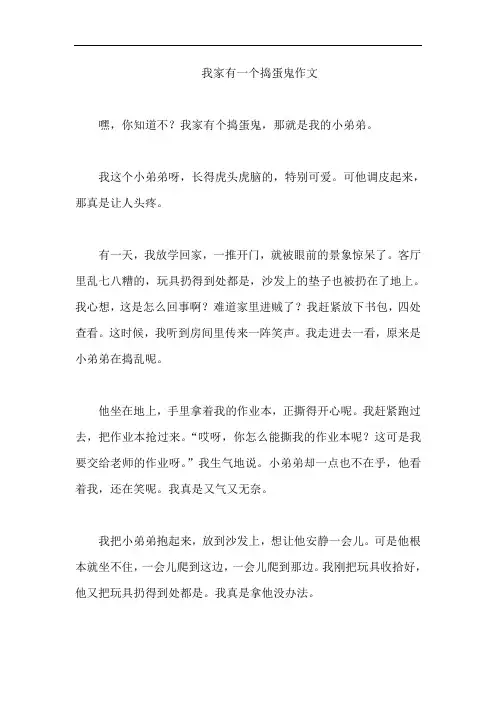 我家有一个捣蛋鬼作文