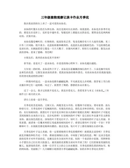 三年级植物观察记录卡作业月季花