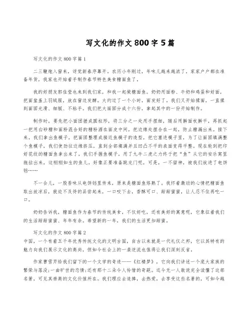 写文化的作文800字5篇