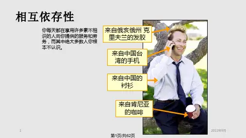 相互依存性与贸易的好处PPT课件