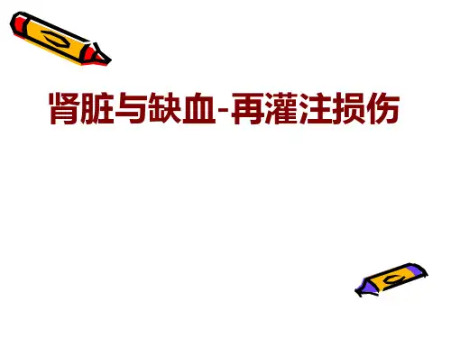 缺血再灌注损伤