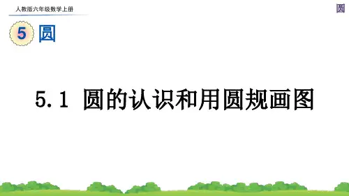 人教版六年级数学上册第五单元《圆》课件