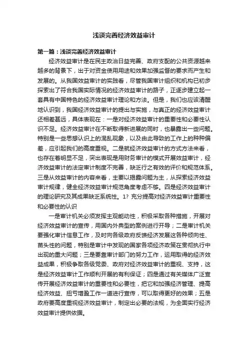 浅谈完善经济效益审计