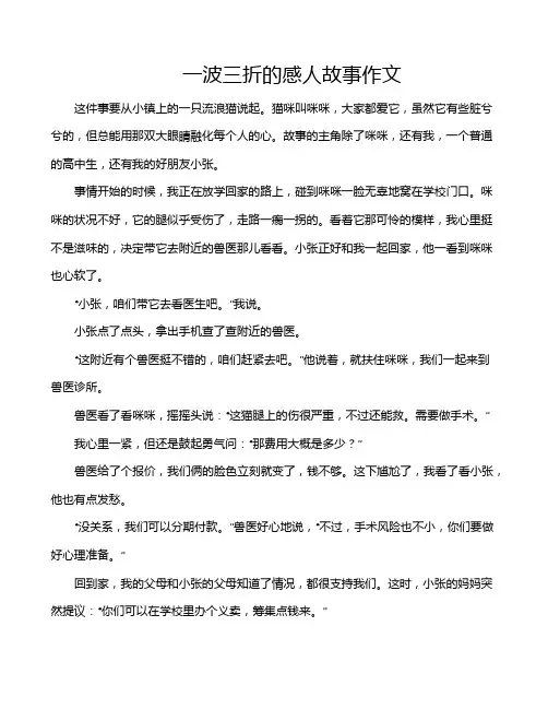 一波三折的感人故事作文
