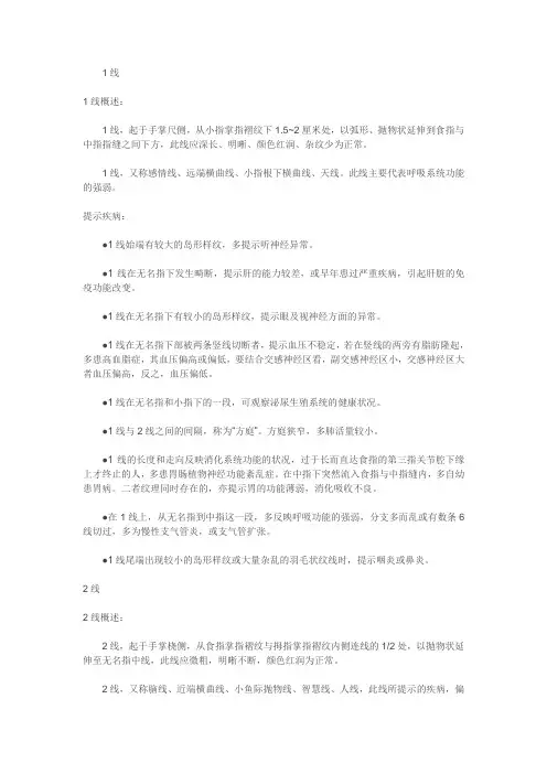 手掌14线详解
