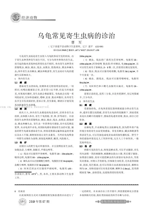乌龟常见寄生虫病的诊治