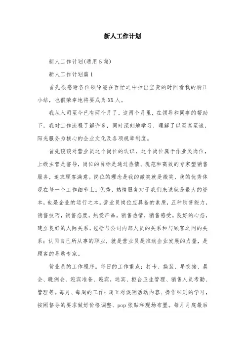 新人工作计划