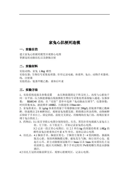 家兔心肌梗死造模