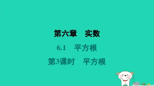 福建省2024七年级数学下册第六章实数6.1平方根第3课时平方根课件新版新人教版