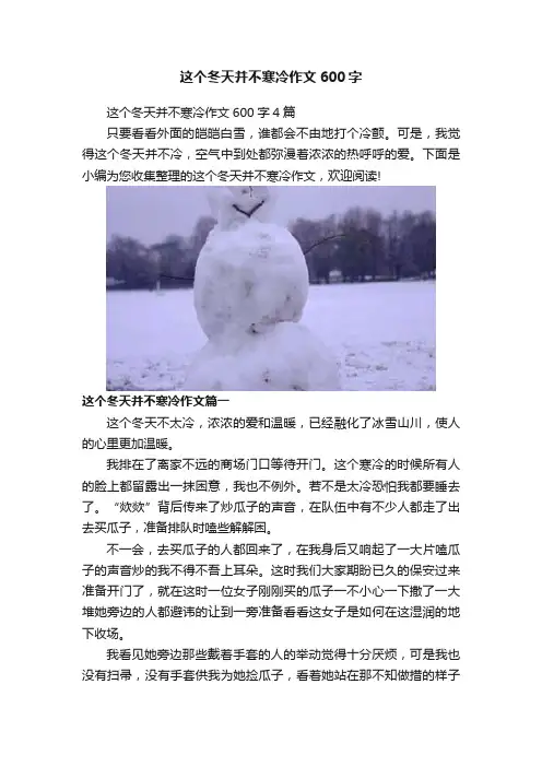 这个冬天并不寒冷作文600字