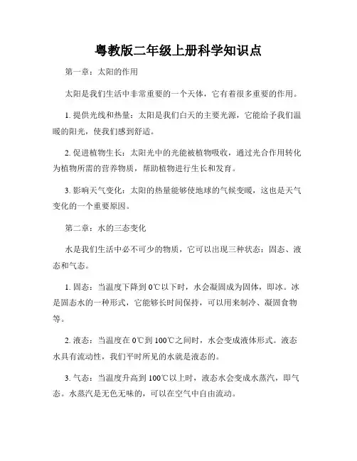 粤教版二年级上册科学知识点