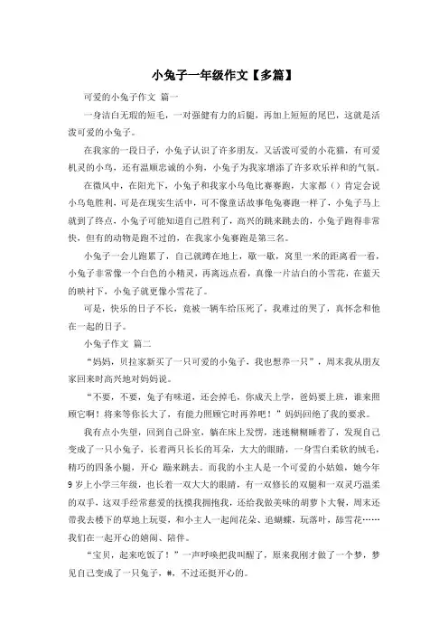 小兔子一年级作文【多篇】