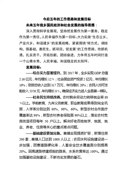 今后五年的工作思路和发展目标