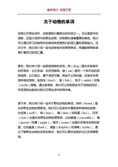 关于动物的单词