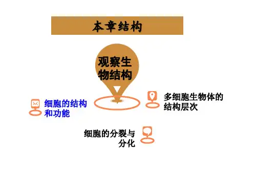 济南版七年级上册生物课件1.2.1细胞的结构和功能(1)(20张PPT)