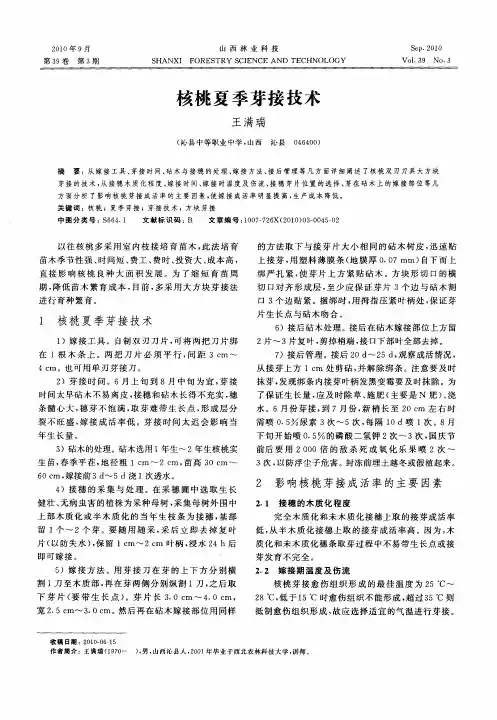 核桃夏季芽接技术