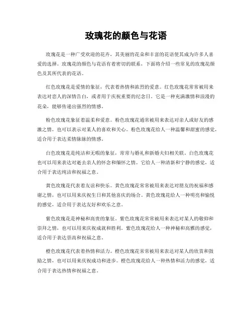 玫瑰花的颜色与花语