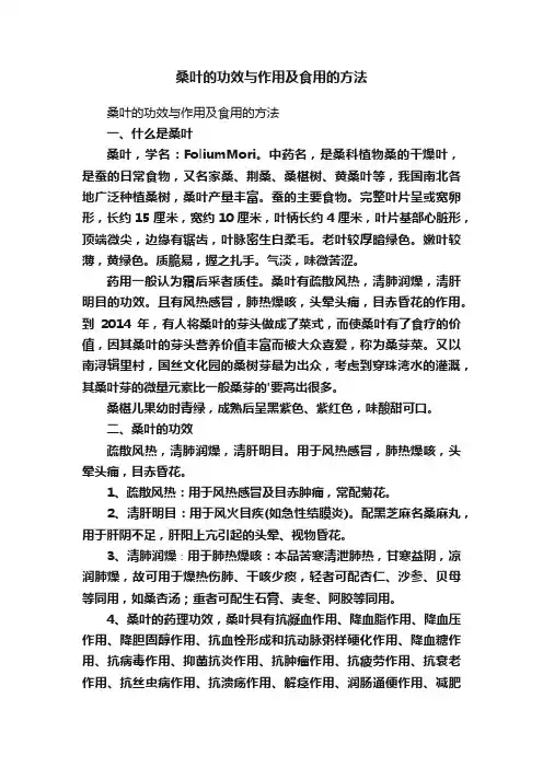 桑叶的功效与作用及食用的方法