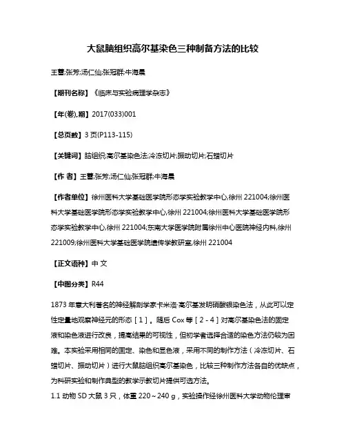 大鼠脑组织高尔基染色三种制备方法的比较