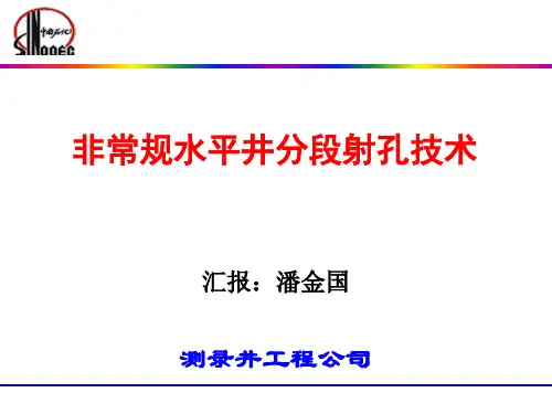 1-非常规水平井分段射孔技术