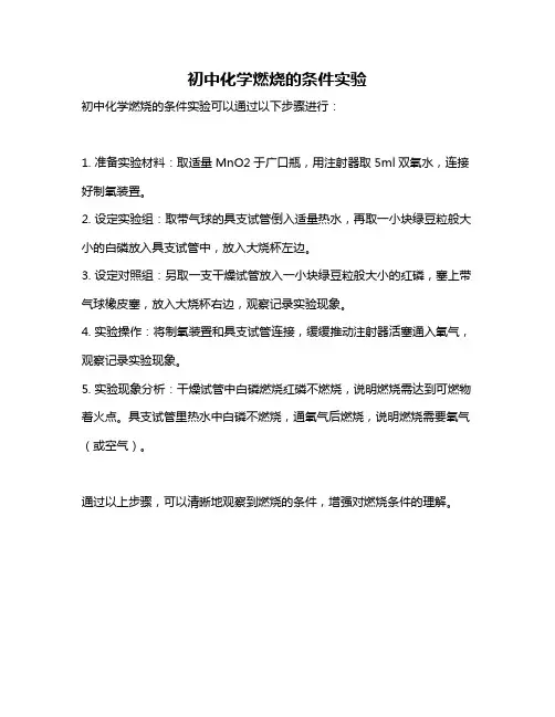 初中化学燃烧的条件实验