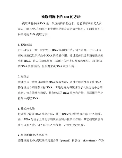 提取细胞中的rna的方法