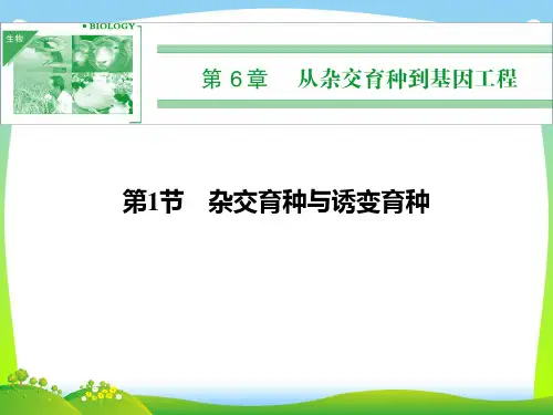 杂交育种与诱变育种-课件