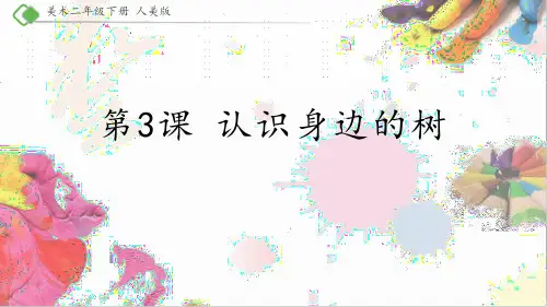 二年级美术下册《认识身边的树》PPT课件