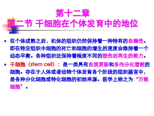 《细胞生物学》第十二章 干细胞