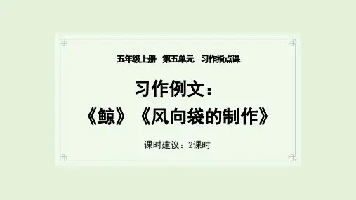 部编版五年级上册第五单元习作例文课件(共25张PPT)