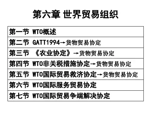 第六章世界贸易组织法(上)
