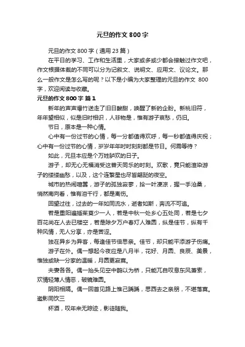 元旦的作文800字（通用23篇）