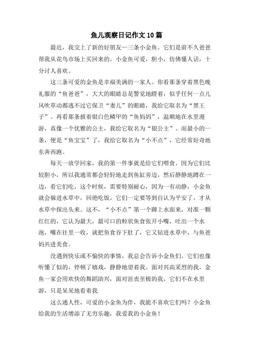 鱼儿观察日记作文10篇