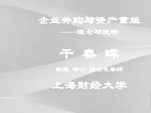 企业并购与资产重组理念与战略文件
