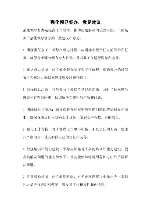 强化领导督办,意见建议