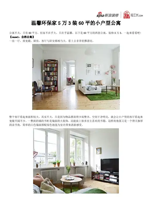 温馨环保家 5万3装60平的小户型公寓