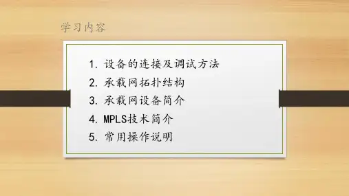 MPLS承载网培训