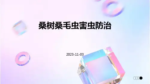 桑树桑毛虫害虫防治