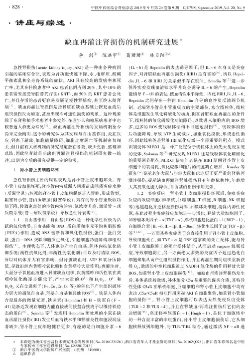 缺血再灌注肾损伤的机制研究进展