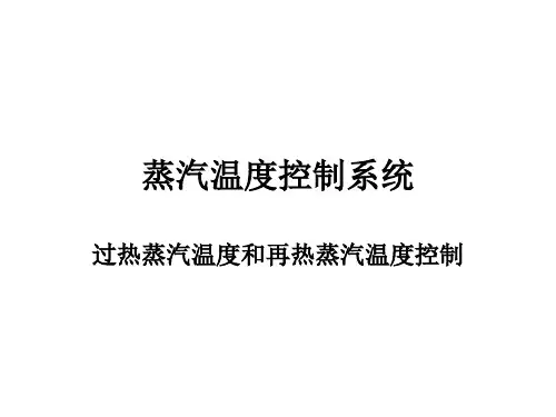 蒸汽温度控制系统