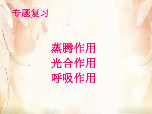 蒸腾作用、光合作用和呼吸作用PPT课件 人教版