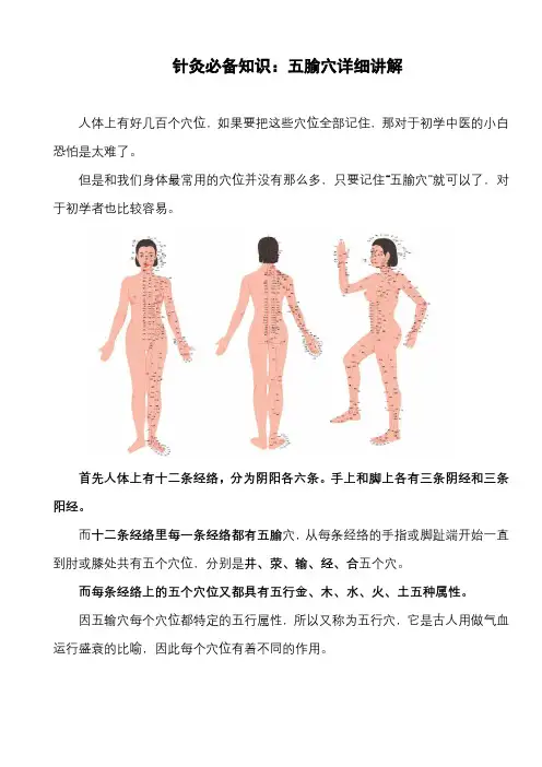 学针灸的小白先学基础知识是十二正经还五俞学
