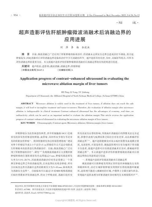 211009589_超声造影评估肝脏肿瘤微波消融术后消融边界的应用进展