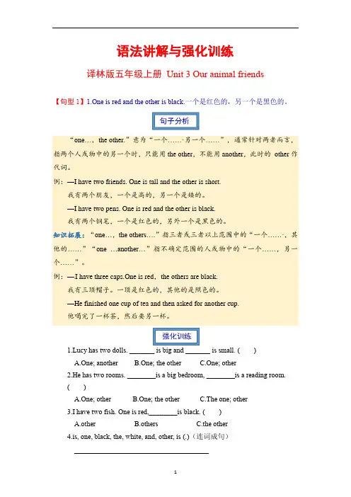 译林版英语五年级上册-Unit3语法讲解与强化训练(有答案+含解析)