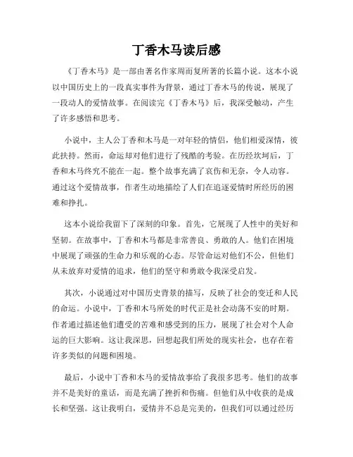 丁香木马读后感