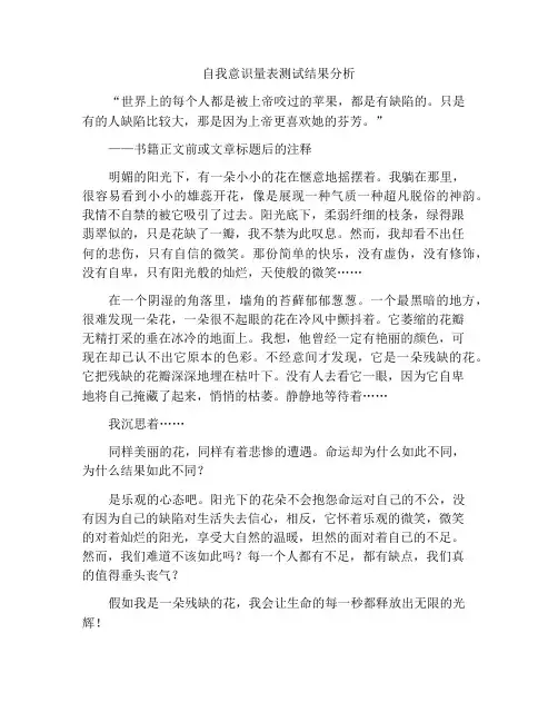 自我意识量表测试结果分析