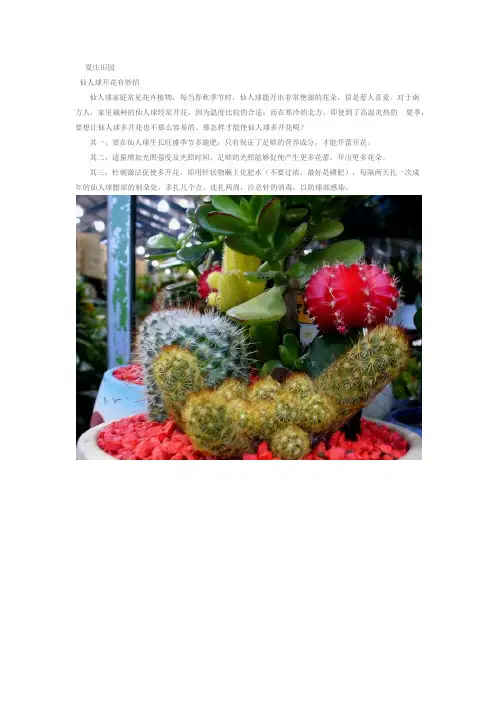 怎样使仙人球开更多花