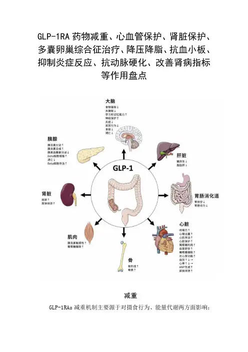 GLP-1RA药物减重、心血管保护、肾脏保护、多囊卵巢综合征治疗、抑制炎症反应、抗动脉硬化等作用盘点