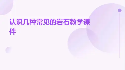 认识几种常见的岩石教学课件