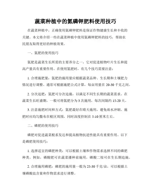 蔬菜种植中的氮磷钾肥料使用技巧